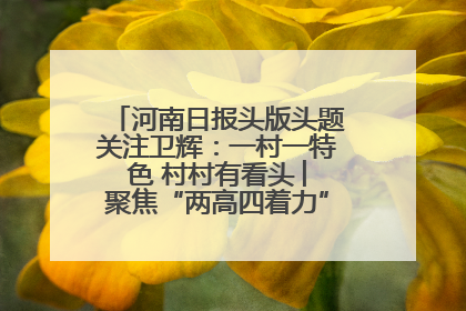 河南日报头版头题关注卫辉：一村一特色 村村有看头 ︳聚焦“两高四着力”·一“县”观察