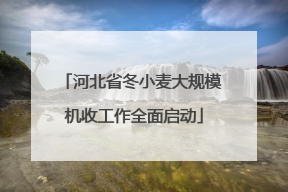 河北省冬小麦大规模机收工作全面启动