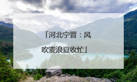 河北宁晋：风吹麦浪夏收忙