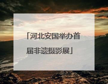 河北安国举办首届非遗摄影展