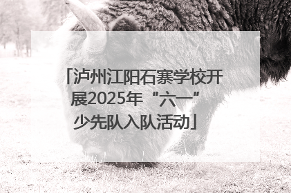 泸州江阳石寨学校开展2025年“六一”少先队入队活动