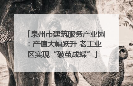 泉州市建筑服务产业园：产值大幅跃升 老工业区实现“破茧成蝶”