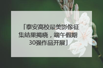 泰安高校最美影像征集结果揭晓，端午假期30强作品开展