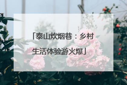 泰山炊烟巷：乡村生活体验游火爆