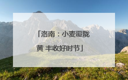 洛南：小麦覆陇黄 丰收好时节