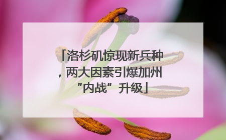洛杉矶惊现新兵种，两大因素引爆加州“内战”升级