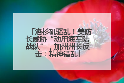 洛杉矶骚乱！美防长威胁“动用海军陆战队”，加州州长反击：精神错乱