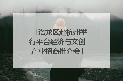 洛龙区赴杭州举行平台经济与文创产业招商推介会