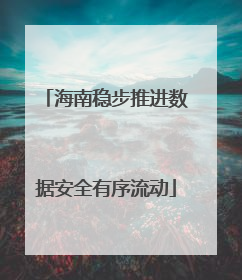 海南稳步推进数据安全有序流动