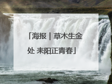 海报｜草木生金处 耒阳正青春
