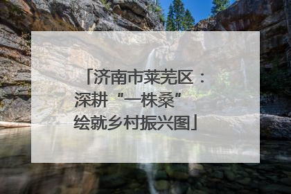 济南市莱芜区：深耕“一株桑” 绘就乡村振兴图