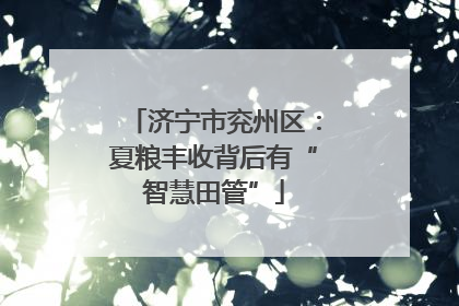 济宁市兖州区：夏粮丰收背后有“智慧田管”