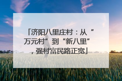 济阳八里庄村：从“万元村”到“新八里”，强村富民路正宽