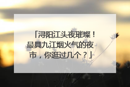 浔阳江头夜璀璨！最具九江烟火气的夜市，你逛过几个？