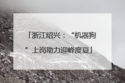 浙江绍兴：“机器狗”上岗助力迎峰度夏