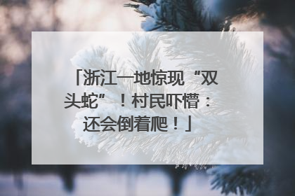 浙江一地惊现“双头蛇”！村民吓懵：还会倒着爬！