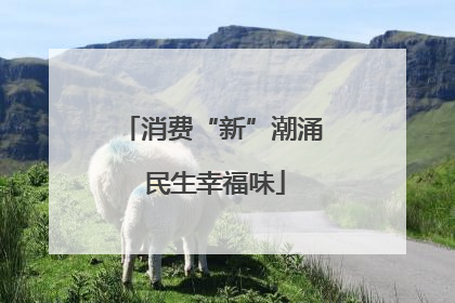 消费“新”潮涌 民生幸福味