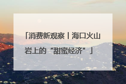 消费新观察丨海口火山岩上的“甜蜜经济”