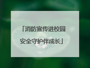 消防宣传进校园 安全守护伴成长