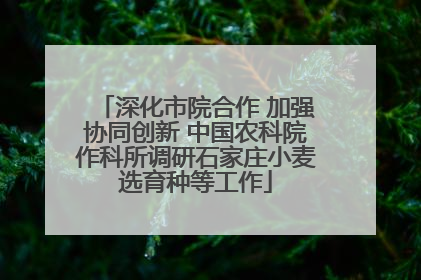 深化市院合作 加强协同创新 中国农科院作科所调研石家庄小麦选育种等工作