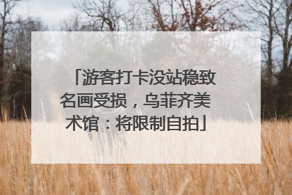 游客打卡没站稳致名画受损，乌菲齐美术馆：将限制自拍