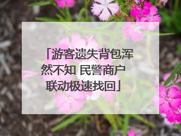 游客遗失背包浑然不知 民警商户联动极速找回
