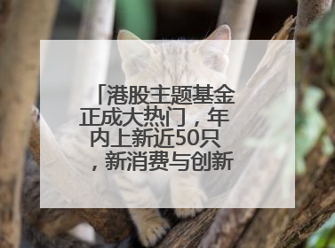 港股主题基金正成大热门，年内上新近50只，新消费与创新药刮起贝塔风