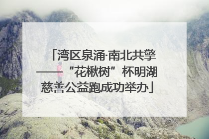 湾区泉涌·南北共擎——“花楸树”杯明湖慈善公益跑成功举办