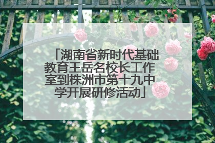 湖南省新时代基础教育王岳名校长工作室到株洲市第十九中学开展研修活动
