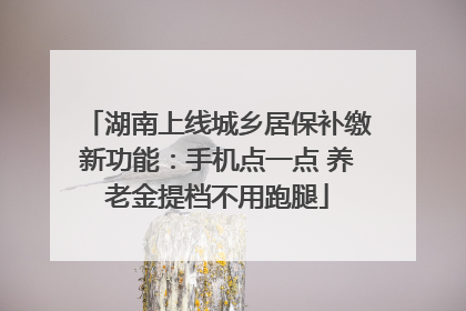 湖南上线城乡居保补缴新功能：手机点一点 养老金提档不用跑腿