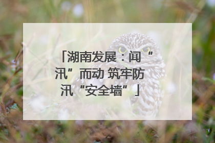 湖南发展：闻“汛”而动 筑牢防汛“安全墙”