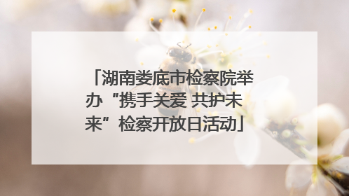湖南娄底市检察院举办“携手关爱 共护未来”检察开放日活动