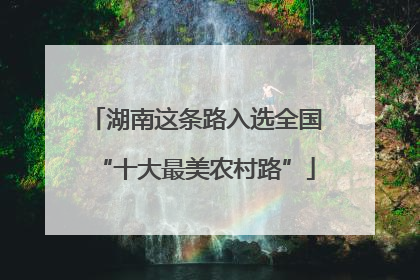 湖南这条路入选全国“十大最美农村路”