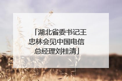 湖北省委书记王忠林会见中国电信总经理刘桂清