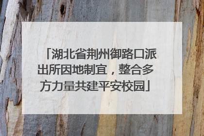 湖北省荆州御路口派出所因地制宜，整合多方力量共建平安校园