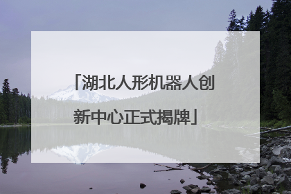 湖北人形机器人创新中心正式揭牌