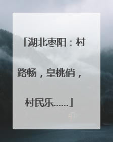 湖北枣阳：村路畅，皇桃俏，村民乐……