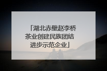 湖北赤壁赵李桥茶业创建民族团结进步示范企业