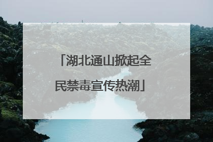 湖北通山掀起全民禁毒宣传热潮