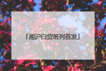 湘沪白货班列首发