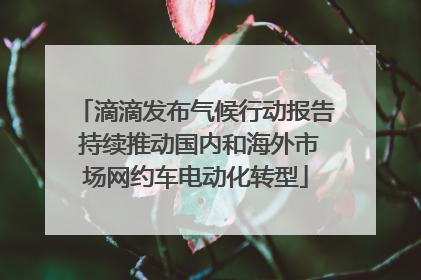 滴滴发布气候行动报告 持续推动国内和海外市场网约车电动化转型
