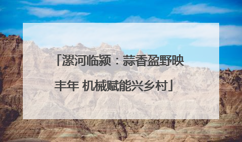 漯河临颍：蒜香盈野映丰年 机械赋能兴乡村