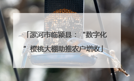漯河市临颍县：“数字化”樱桃大棚助推农户增收