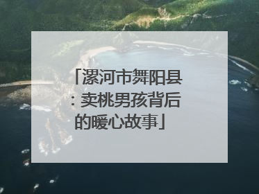漯河市舞阳县：卖桃男孩背后的暖心故事