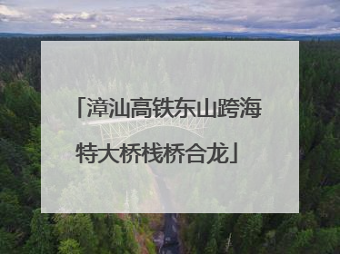 漳汕高铁东山跨海特大桥栈桥合龙