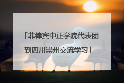 菲律宾中正学院代表团到四川崇州交流学习