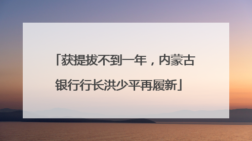 获提拔不到一年，内蒙古银行行长洪少平再履新
