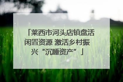 莱西市河头店镇盘活闲置资源 激活乡村振兴“沉睡资产”