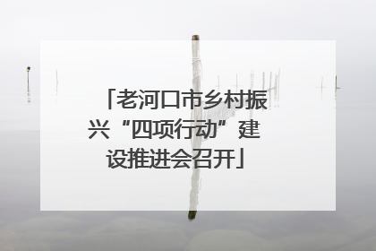 老河口市乡村振兴“四项行动”建设推进会召开
