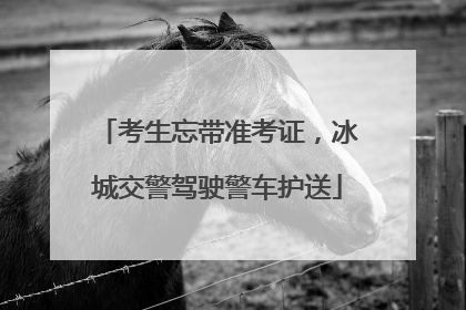 考生忘带准考证，冰城交警驾驶警车护送